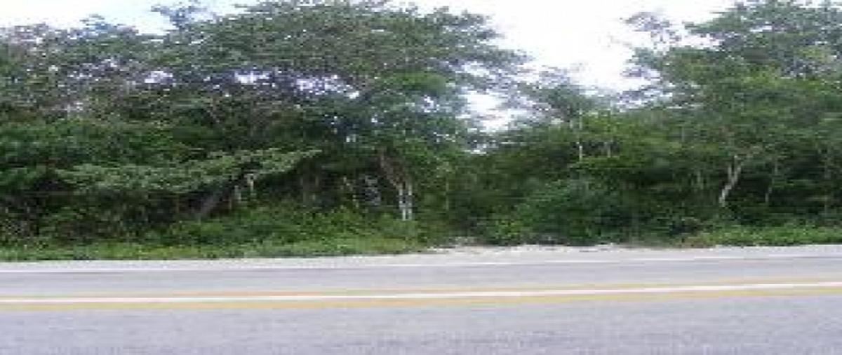 Foto de terreno habitacional en venta en  , playa del carmen centro, solidaridad, quintana roo, 21689813 No. 03