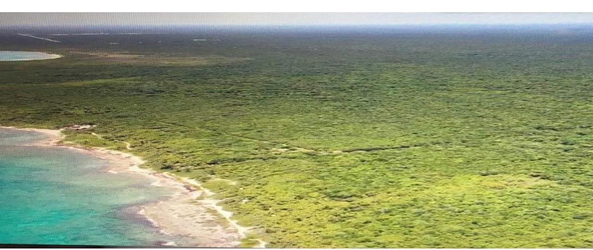 Foto de terreno habitacional en venta en  , playa del carmen centro, solidaridad, quintana roo, 24741319 No. 04