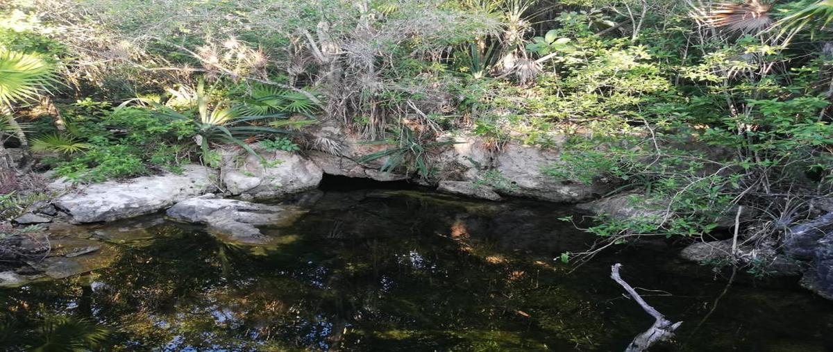 Foto de terreno habitacional en venta en  , playa del carmen centro, solidaridad, quintana roo, 24741319 No. 05