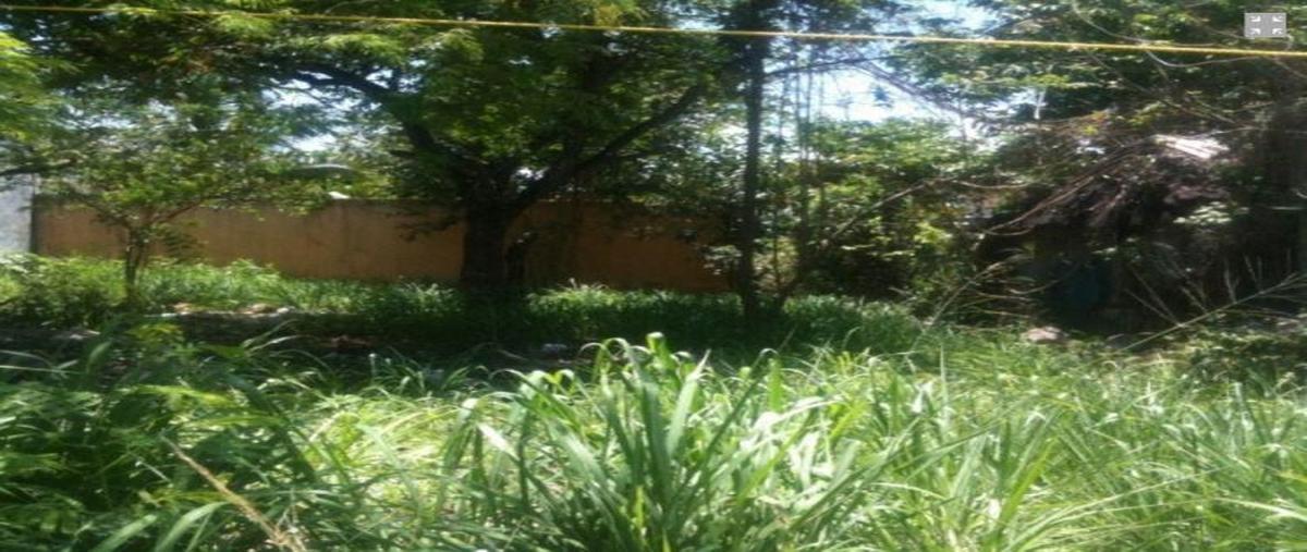 Foto de terreno habitacional en venta en  , playa del carmen centro, solidaridad, quintana roo, 0 No. 03