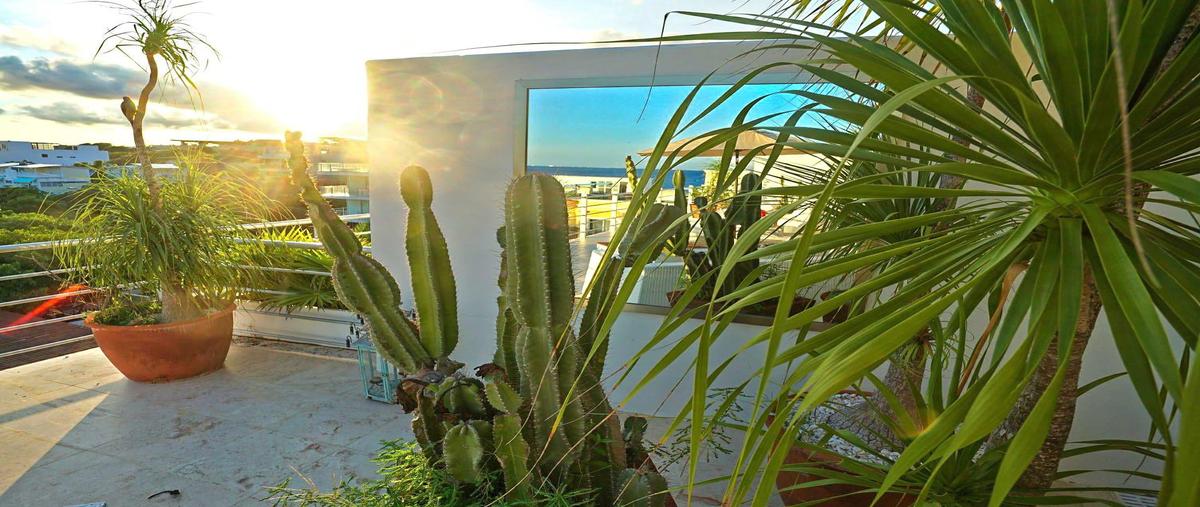 Foto de departamento en venta en  , playa del carmen centro, solidaridad, quintana roo, 0 No. 04