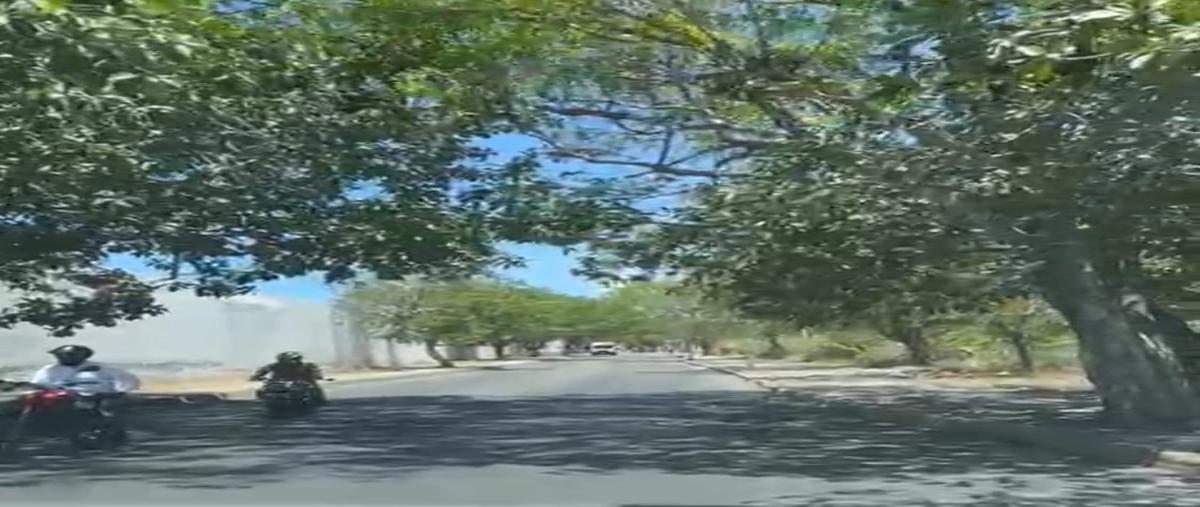 Foto de terreno habitacional en venta en  , playa del carmen centro, solidaridad, quintana roo, 28401720 No. 03