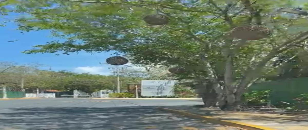 Foto de terreno habitacional en venta en  , playa del carmen centro, solidaridad, quintana roo, 28401720 No. 05