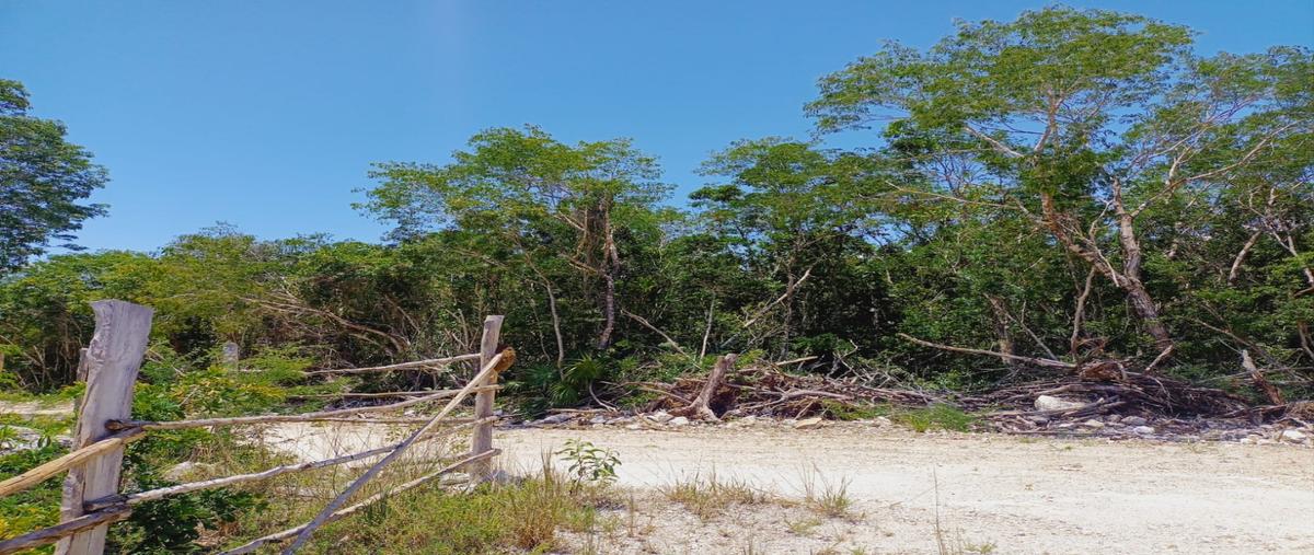 Foto de terreno habitacional en venta en  , playa del carmen centro, solidaridad, quintana roo, 28469867 No. 03