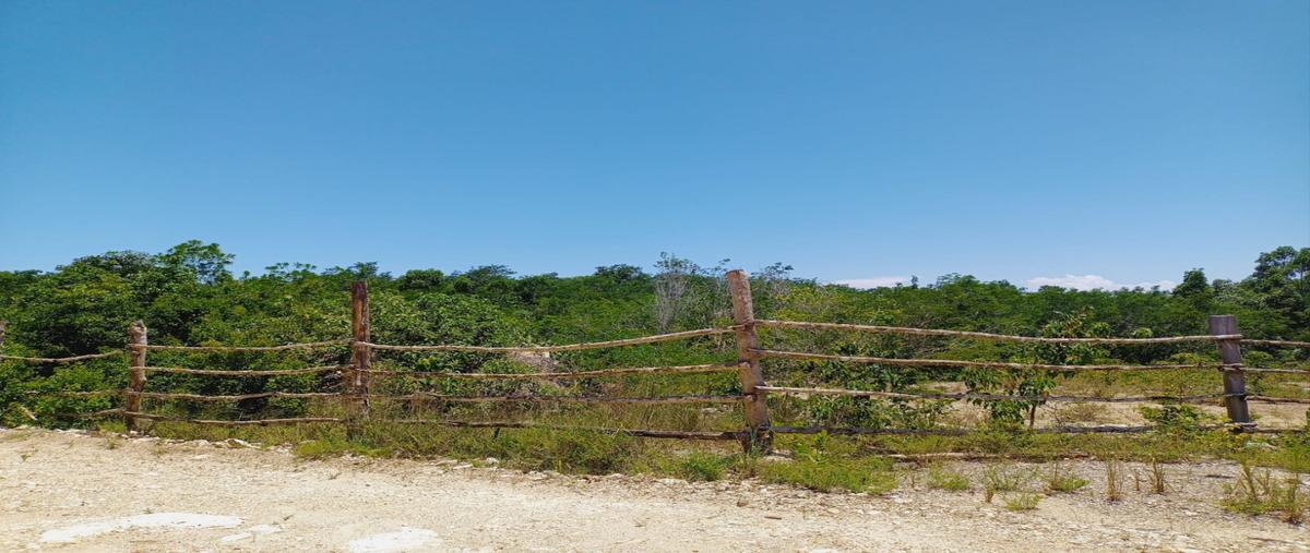 Foto de terreno habitacional en venta en  , playa del carmen centro, solidaridad, quintana roo, 28469867 No. 05