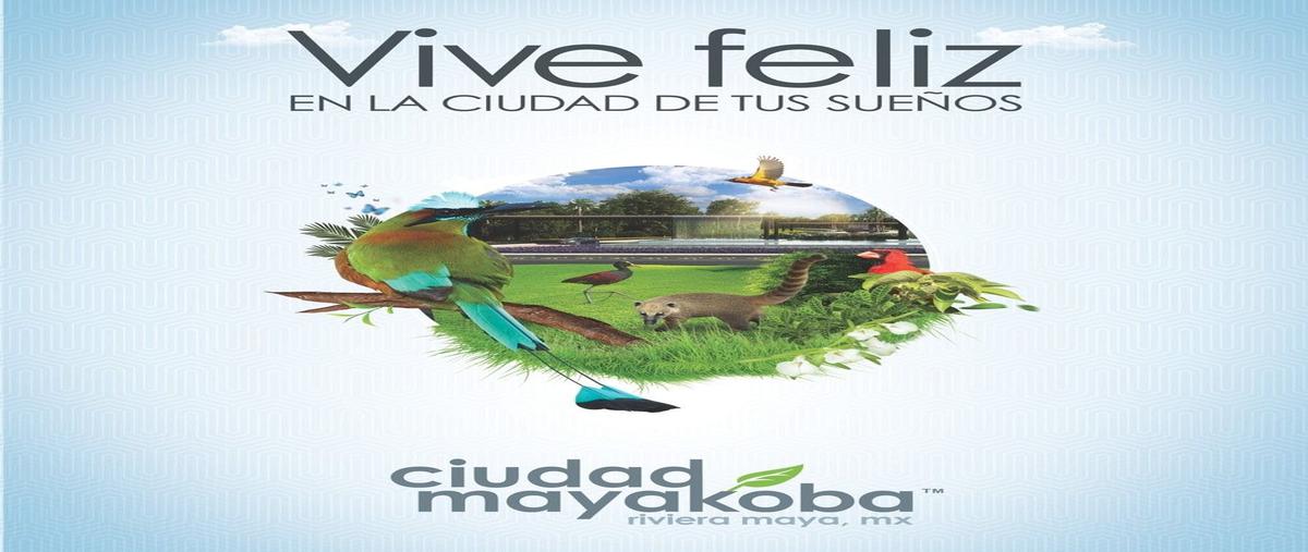Foto de departamento en , playa del carmen centro, solidaridad, quintana roo, 0 foto 05 Foto de departamento en venta en , playa del carmen centro, solidaridad, quintana roo, 0 No. 05