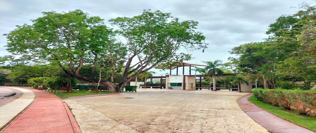 Foto de terreno habitacional en venta en  , playa del carmen centro, solidaridad, quintana roo, 29833210 No. 03