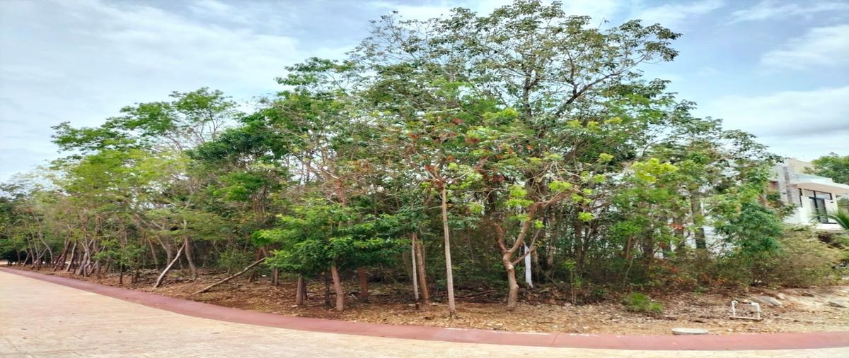 Foto de terreno habitacional en venta en  , playa del carmen centro, solidaridad, quintana roo, 29833210 No. 04