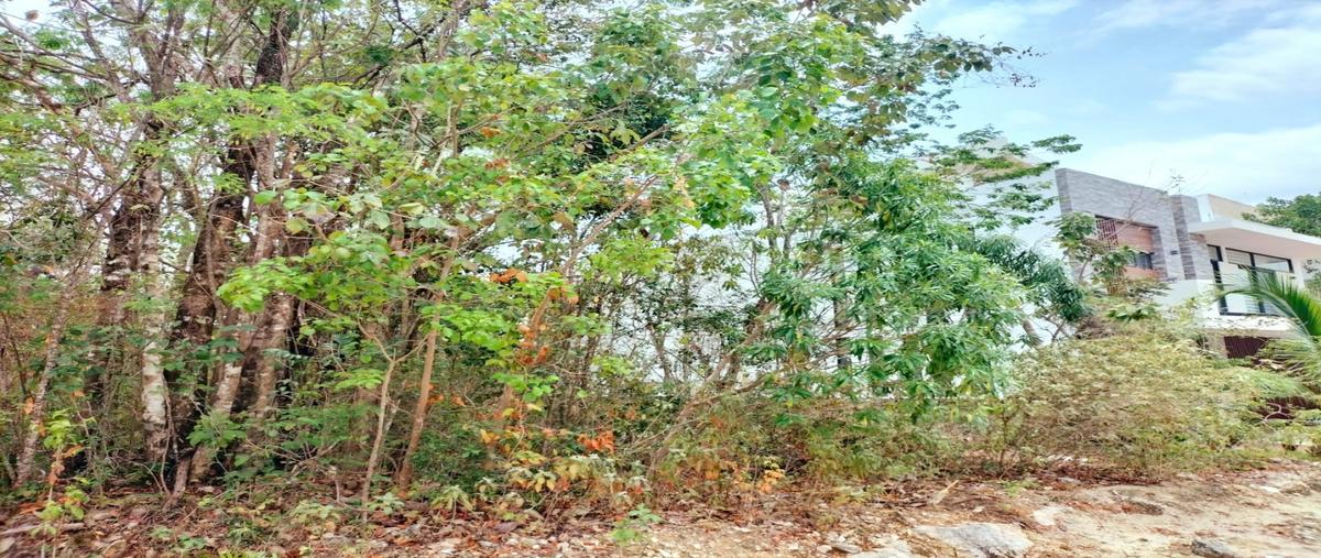 Foto de terreno habitacional en venta en  , playa del carmen centro, solidaridad, quintana roo, 29833210 No. 05