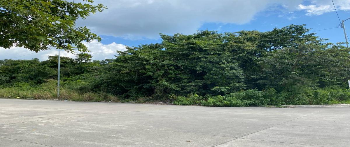 Foto de terreno habitacional en venta en  , playa del carmen centro, solidaridad, quintana roo, 31000021 No. 05
