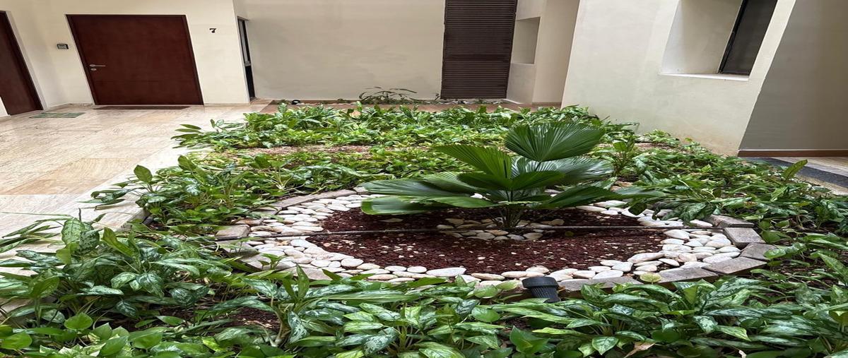 Foto de departamento en renta en  , playa del carmen centro, solidaridad, quintana roo, 0 No. 05