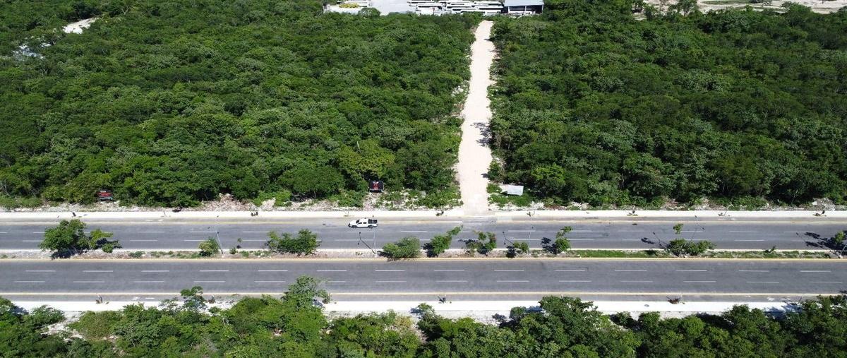Foto de terreno habitacional en venta en playa del carmen , playa del carmen, solidaridad, quintana roo, 0 No. 03