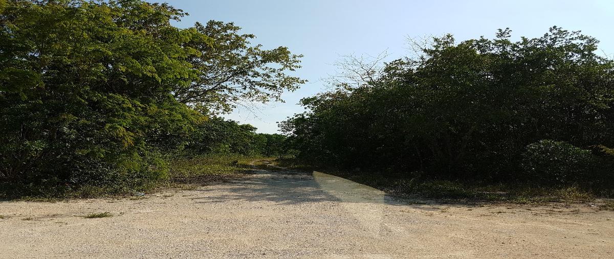 Foto de terreno habitacional en venta en  , playa del carmen, solidaridad, quintana roo, 12291022 No. 04