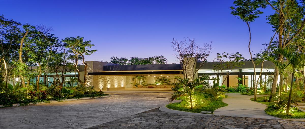 Foto de terreno habitacional en venta en  , playa del carmen, solidaridad, quintana roo, 15392790 No. 03