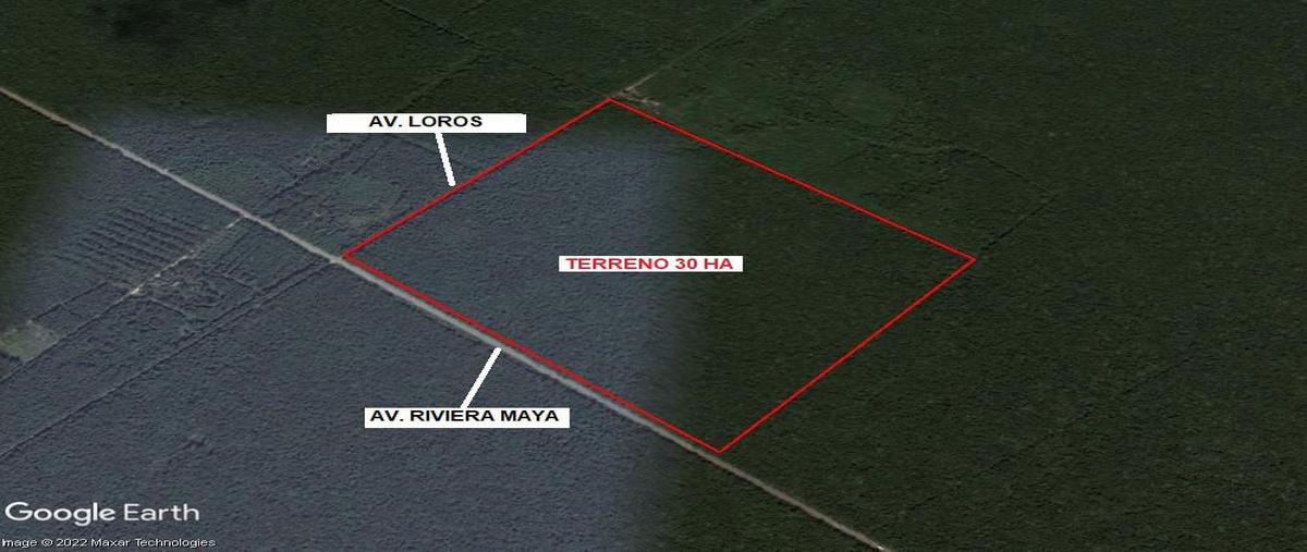 Foto de terreno habitacional en venta en  , playa del carmen, solidaridad, quintana roo, 24149029 No. 03