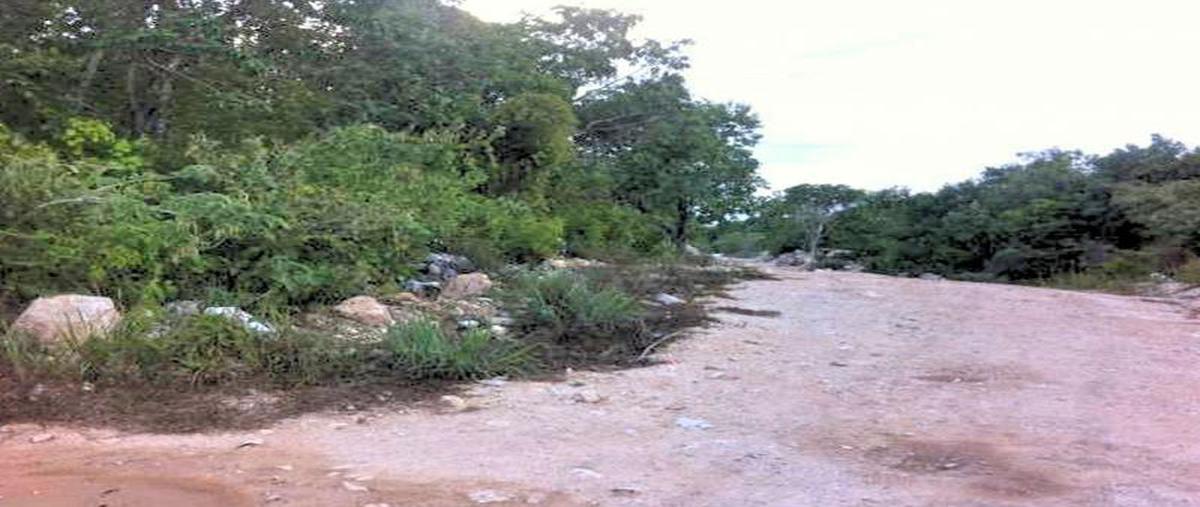 Foto de terreno habitacional en venta en  , playa del carmen, solidaridad, quintana roo, 25315515 No. 04