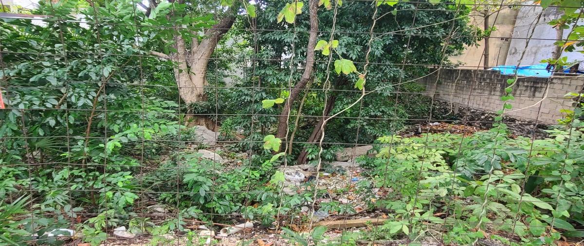 Foto de terreno habitacional en , playa del carmen, solidaridad, quintana roo, 25463040 foto 03 Foto de terreno habitacional en venta en , playa del carmen, solidaridad, quintana roo, 25463040 No. 03
