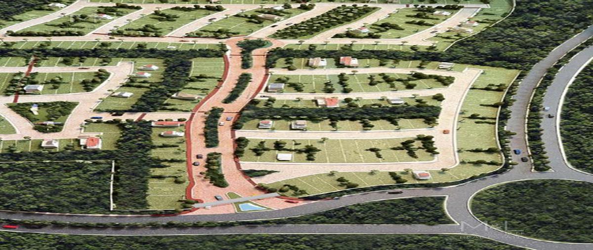 Foto de terreno habitacional en venta en  , playa del carmen, solidaridad, quintana roo, 25559200 No. 04