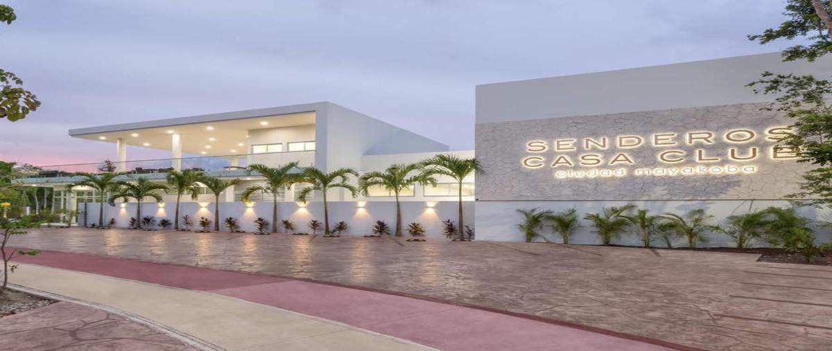 Foto de terreno habitacional en venta en  , playa del carmen, solidaridad, quintana roo, 25559200 No. 05