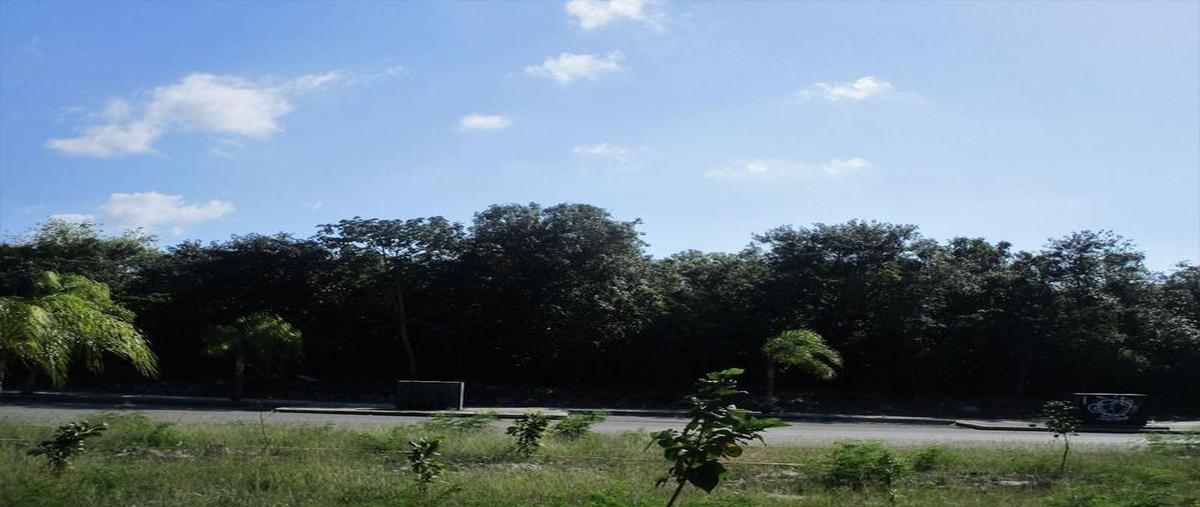 Foto de terreno habitacional en venta en  , playa del carmen, solidaridad, quintana roo, 25678076 No. 03