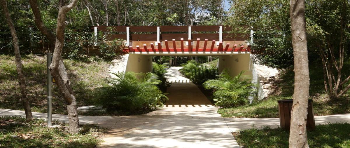 Foto de terreno habitacional en , playa del carmen, solidaridad, quintana roo, 26516871 foto 01 Foto de terreno habitacional en venta en , playa del carmen, solidaridad, quintana roo, 26516871 No. 01