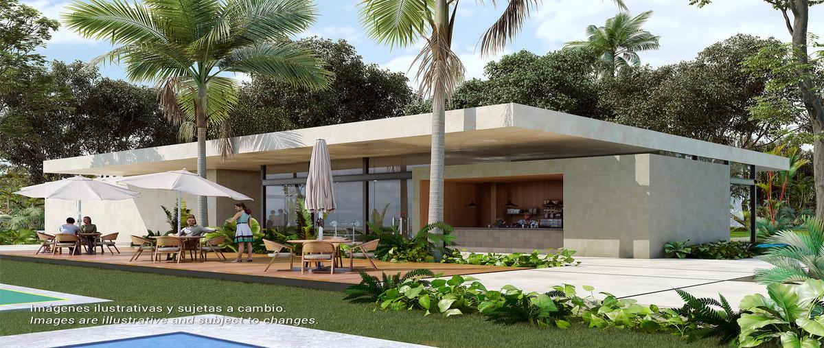 Foto de terreno habitacional en , playa del carmen, solidaridad, quintana roo, 26517013 foto 02 Foto de terreno habitacional en venta en , playa del carmen, solidaridad, quintana roo, 26517013 No. 02