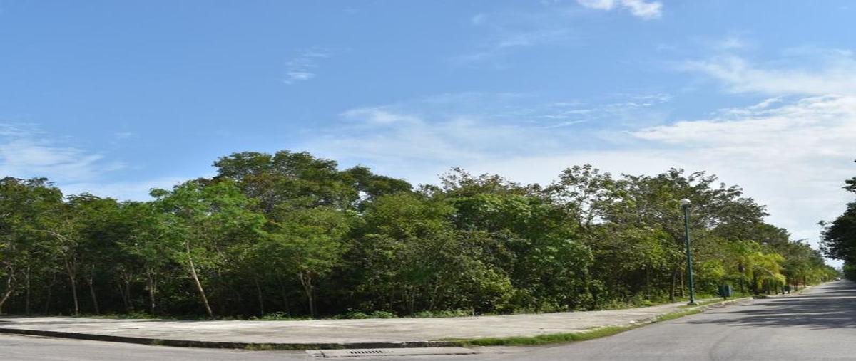 Foto de terreno habitacional en venta en  , playa del carmen, solidaridad, quintana roo, 26901896 No. 04
