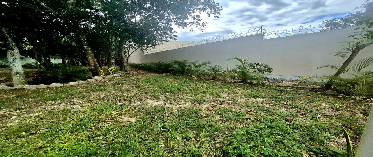 Foto de terreno habitacional en , playa del carmen, solidaridad, quintana roo, 27560843 foto 03 Foto de terreno habitacional en venta en , playa del carmen, solidaridad, quintana roo, 27560843 No. 03