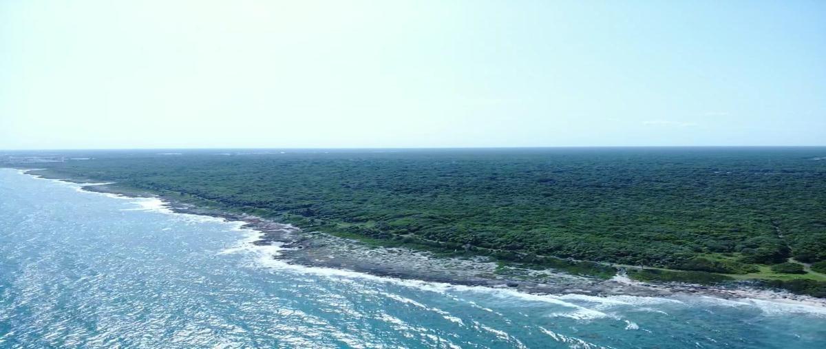 Foto de terreno habitacional en venta en  , playa del carmen, solidaridad, quintana roo, 0 No. 04