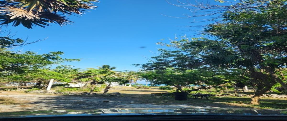 Foto de casa en venta en  , playa del carmen, solidaridad, quintana roo, 27929408 No. 04