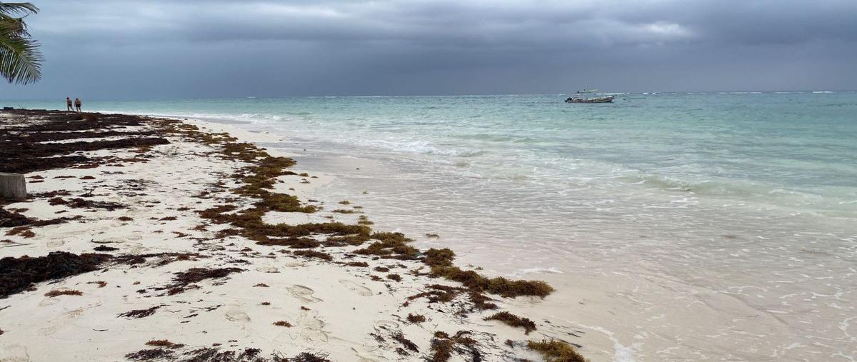 Foto de terreno comercial en , playa del carmen, solidaridad, quintana roo, 27939064 foto 02 Foto de terreno comercial en venta en , playa del carmen, solidaridad, quintana roo, 27939064 No. 02