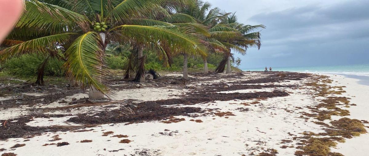 Foto de terreno comercial en , playa del carmen, solidaridad, quintana roo, 27939064 foto 05 Foto de terreno comercial en venta en , playa del carmen, solidaridad, quintana roo, 27939064 No. 05