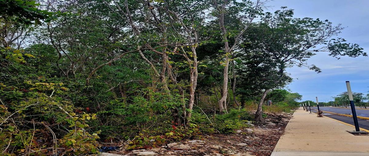 Foto de terreno habitacional en venta en  , playa del carmen, solidaridad, quintana roo, 0 No. 04