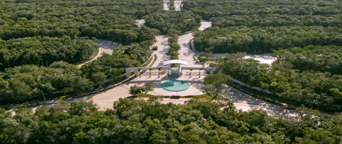 Foto de local en , playa del carmen, solidaridad, quintana roo, 0 foto 05 Foto de local en venta en , playa del carmen, solidaridad, quintana roo, 0 No. 05
