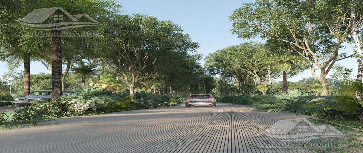 Foto de terreno habitacional en venta en  , playa del carmen, solidaridad, quintana roo, 0 No. 04