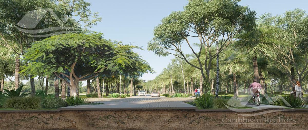 Foto de terreno habitacional en venta en  , playa del carmen, solidaridad, quintana roo, 0 No. 05
