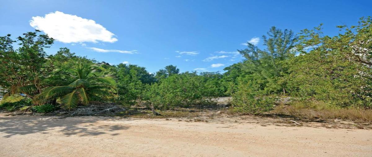 Foto de terreno habitacional en , playa del carmen, solidaridad, quintana roo, 0 foto 05 Foto de terreno habitacional en venta en , playa del carmen, solidaridad, quintana roo, 0 No. 05