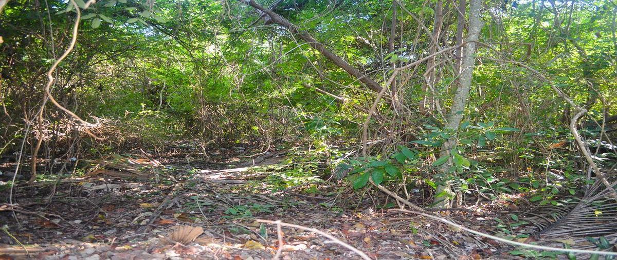 Foto de terreno habitacional en venta en  , playa del carmen, solidaridad, quintana roo, 28612541 No. 03