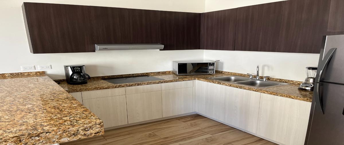 Foto de departamento en renta en  , playa del carmen, solidaridad, quintana roo, 28642291 No. 05