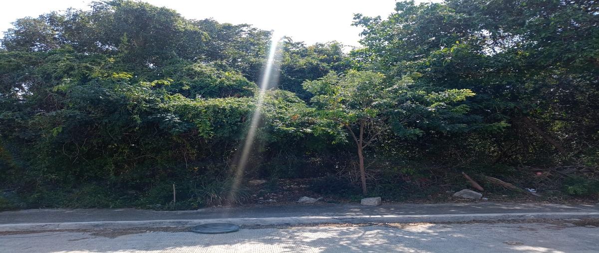Foto de terreno habitacional en , playa del carmen, solidaridad, quintana roo, 0 foto 01 Foto de terreno habitacional en venta en , playa del carmen, solidaridad, quintana roo, 0 No. 01