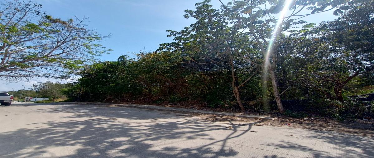 Foto de terreno habitacional en , playa del carmen, solidaridad, quintana roo, 0 foto 03 Foto de terreno habitacional en venta en , playa del carmen, solidaridad, quintana roo, 0 No. 03