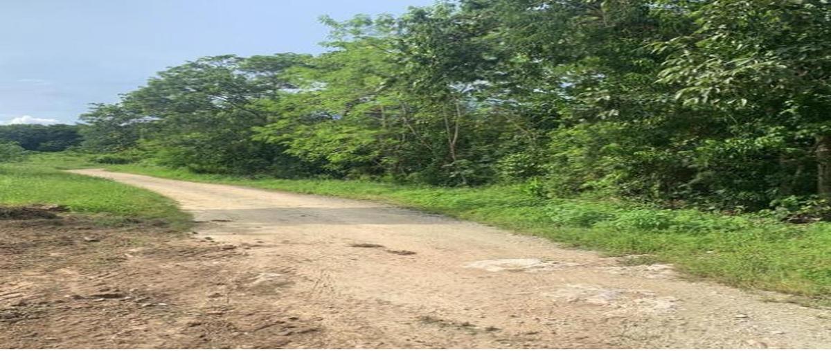 Foto de terreno habitacional en venta en  , playa del carmen, solidaridad, quintana roo, 0 No. 03