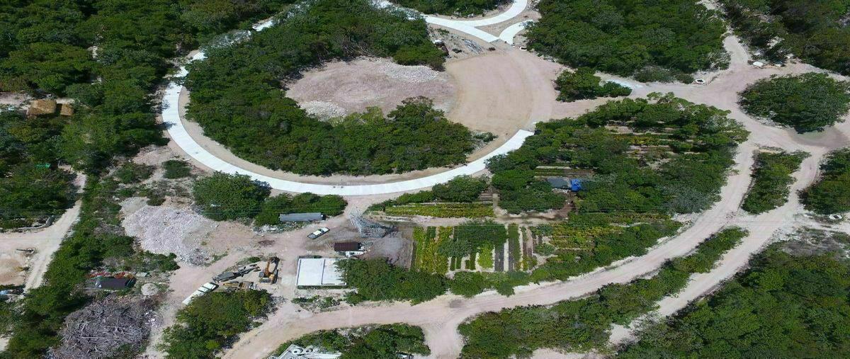 Foto de terreno habitacional en venta en  , playa del carmen, solidaridad, quintana roo, 28793299 No. 03