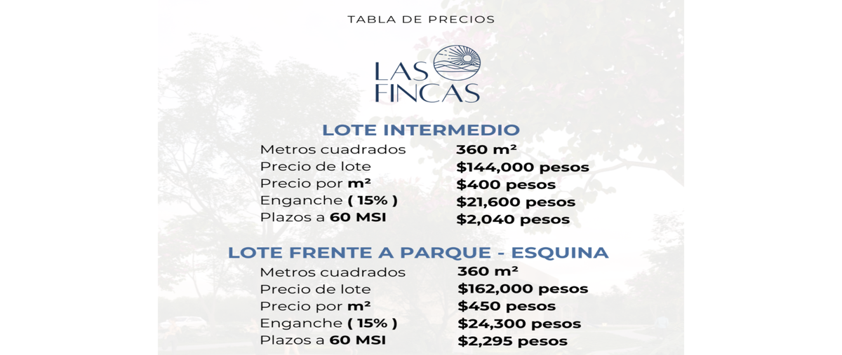 Foto de terreno habitacional en venta en  , playa del carmen, solidaridad, quintana roo, 29295122 No. 03