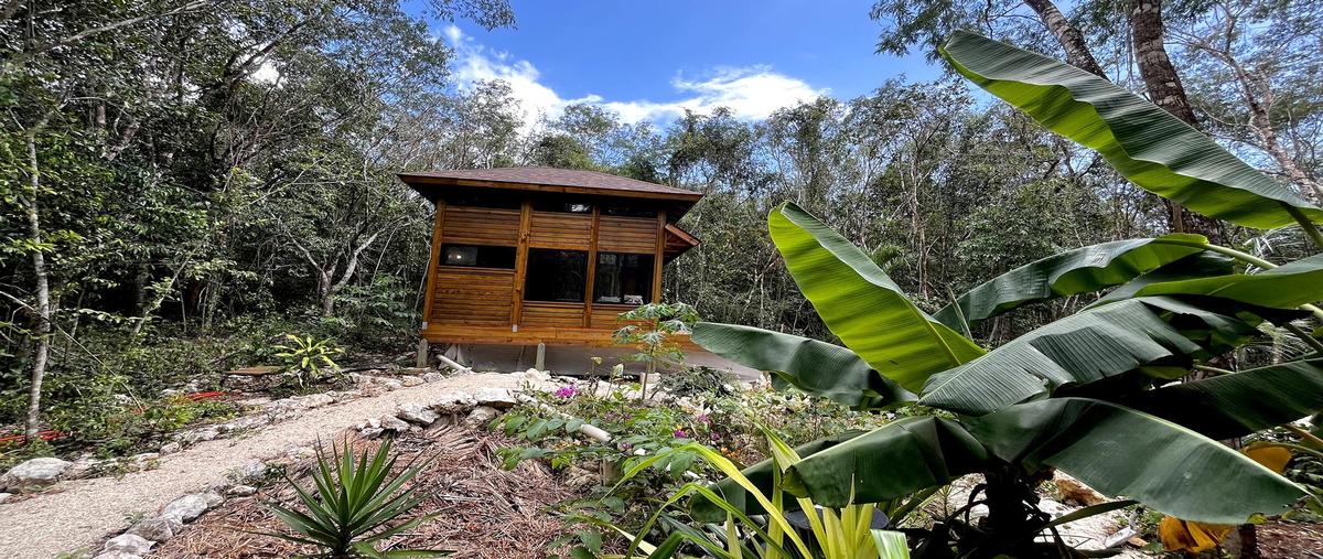 Foto de casa en venta en  , playa del carmen, solidaridad, quintana roo, 29830726 No. 03