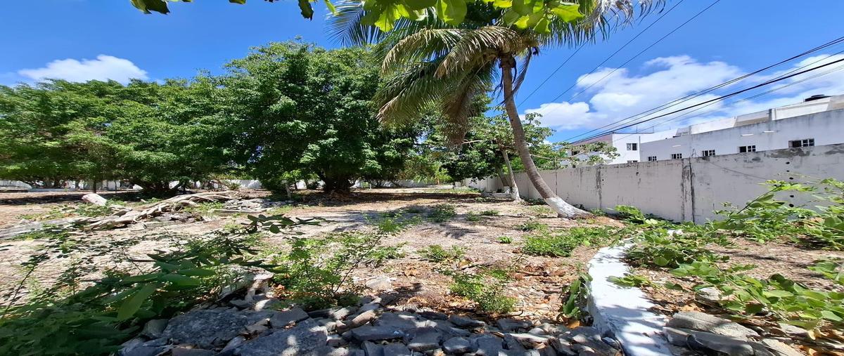 Foto de terreno habitacional en venta en  , playa del carmen, solidaridad, quintana roo, 0 No. 03