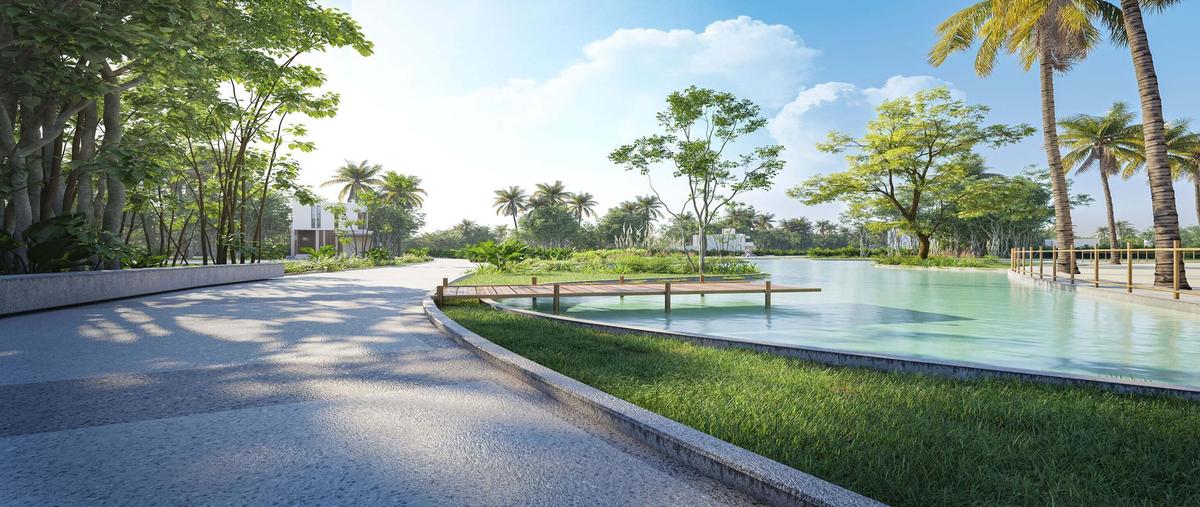 Foto de terreno habitacional en venta en  , playa del carmen, solidaridad, quintana roo, 30013561 No. 04