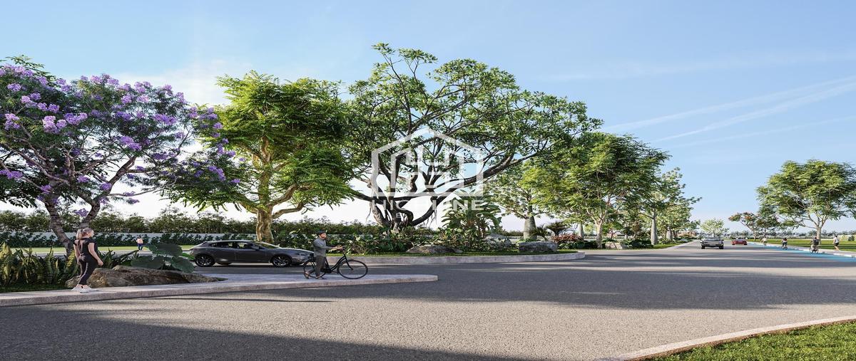 Foto de terreno habitacional en venta en  , playa del carmen, solidaridad, quintana roo, 30013703 No. 03