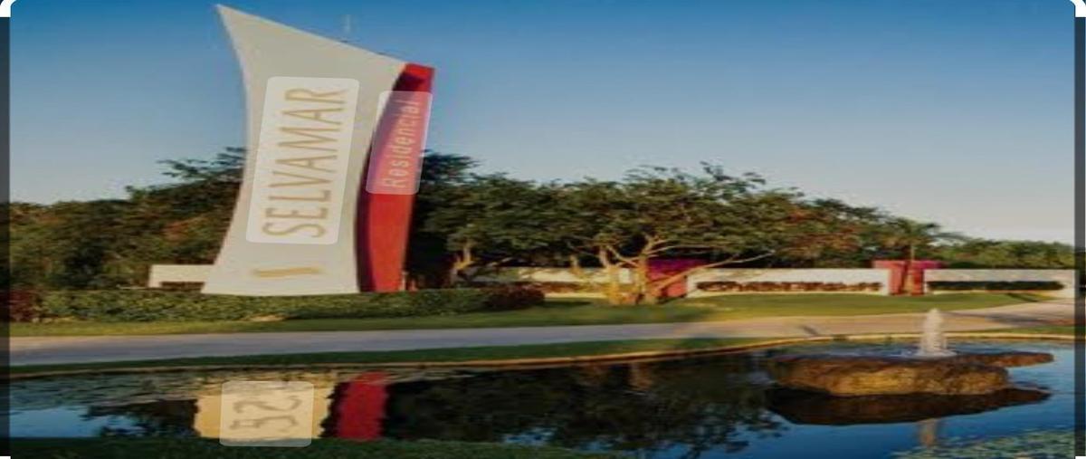 Foto de terreno habitacional en venta en  , playa del carmen, solidaridad, quintana roo, 0 No. 03