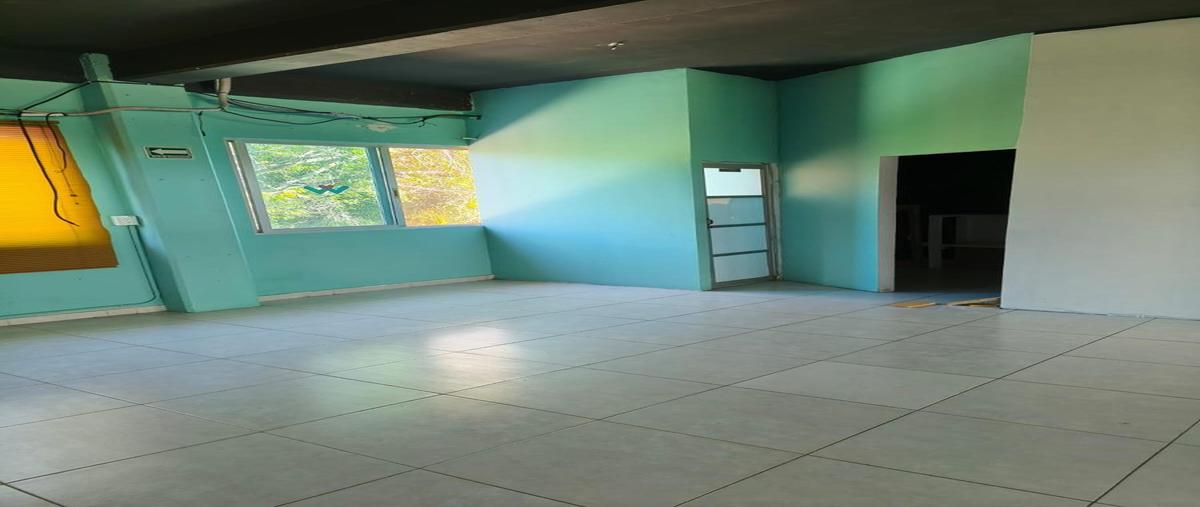 Foto de local en renta en  , playa del carmen, solidaridad, quintana roo, 30026320 No. 05